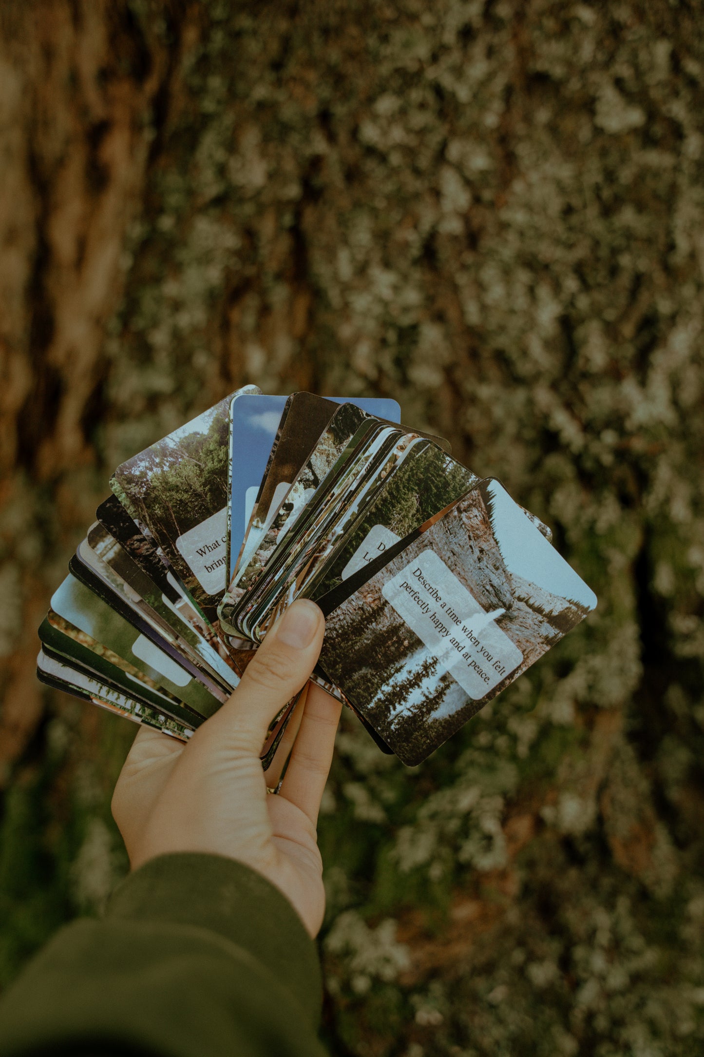 Truth Talks Connection Cards